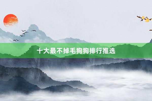 十大最不掉毛狗狗排行推选
